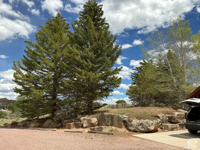 Natural landscaping featuring mature evergreen trees and a retaining wall constructed from large natural stone