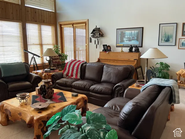 Vaulted ceiling with wood paneling accents