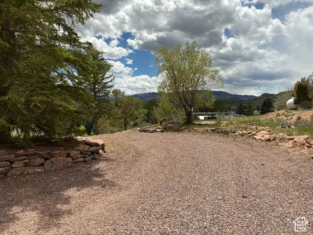 Gravel driveway bordered by natural stone retaining walls and mature evergreen trees