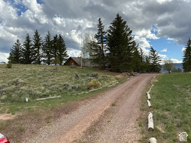 Gravel driveway leading to a secluded property featuring a rustic-style home with a prominent roofline, surrounded by mature evergreen trees and natural landscaping