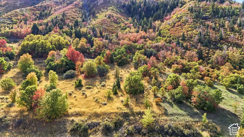 3738 E Catamount Rdg, Sandy, Utah 84092