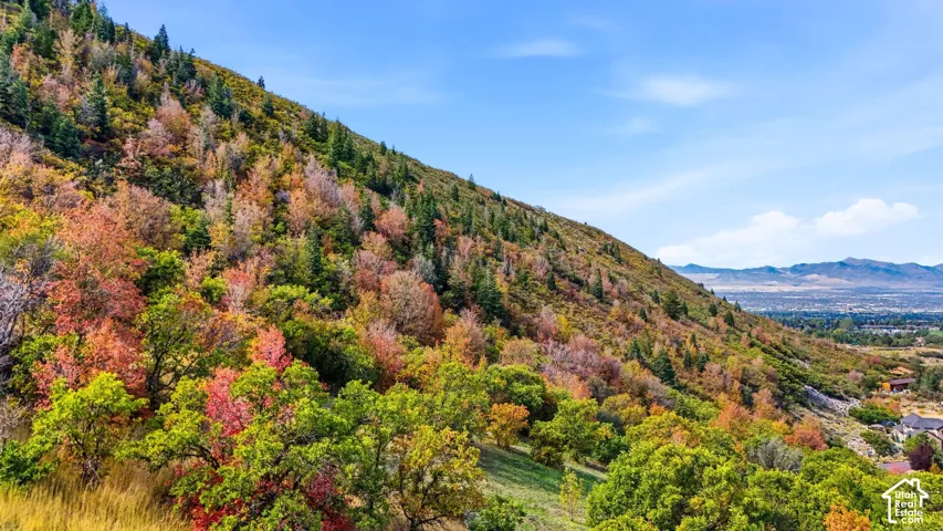 3738 E Catamount Rdg, Sandy, Utah 84092
