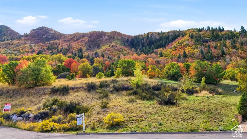 3738 E Catamount Rdg, Sandy, Utah 84092