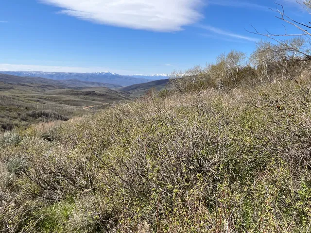 Expansive landscape featuring distant snow-capped mountains and a verdant valley under a bright blue sky