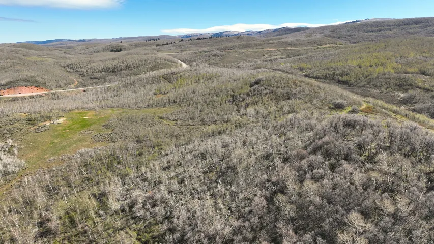 Expansive rural landscape featuring rolling hills and abundant deciduous trees