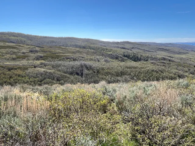 Expansive terrain featuring rolling hills, varied natural foliage, and distant mountain ranges under a clear sky