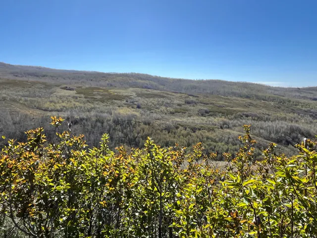 Expansive natural landscape featuring rolling hills and abundant foliage
