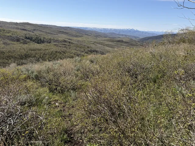Expansive mountain landscape featuring varied foliage and distant snow-capped peaks under a clear sky