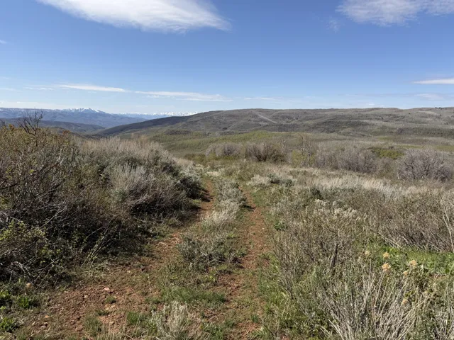 Expansive undeveloped land featuring a natural dirt path, varied native vegetation, distant rolling hills, and a clear blue sky