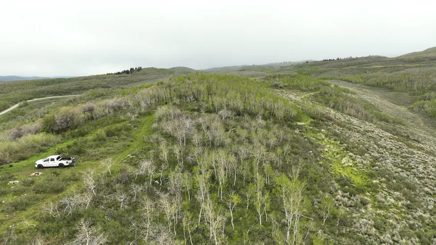 Expansive, undulating terrain featuring diverse natural foliage and a visible dirt road