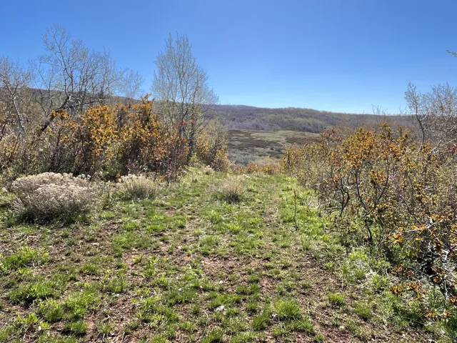 Expansive natural landscape featuring rolling hills, varied foliage including green grass, shrubs, and deciduous trees, and a clear blue sky