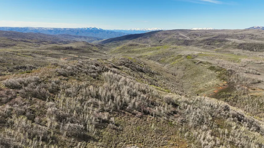 Expansive acreage featuring rolling hills and mature deciduous trees