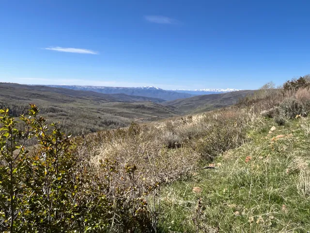 Expansive mountain landscape featuring distant snow-capped peaks and a verdant valley below