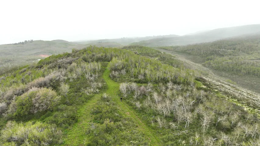 Expansive hillside property featuring established trees and a winding natural path