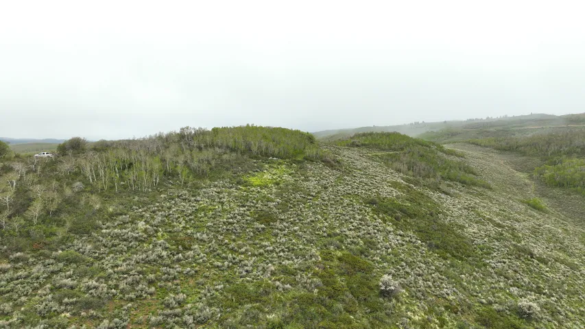 Expansive acreage featuring rolling hills and diverse vegetation