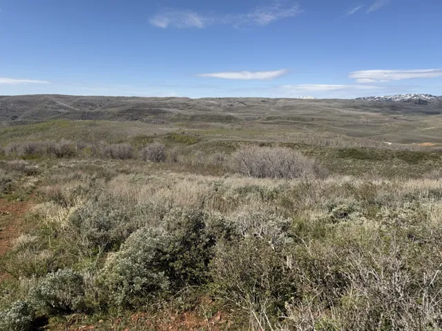 Expansive natural landscape featuring rolling hills and distant snow-capped mountains