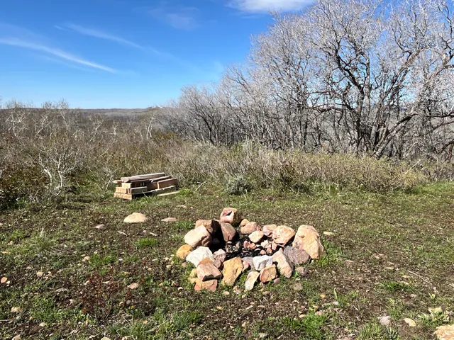 Outdoor fire pit area with stone surround