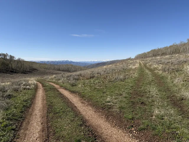 Expansive natural landscape featuring a winding dirt road and distant snow-capped mountains