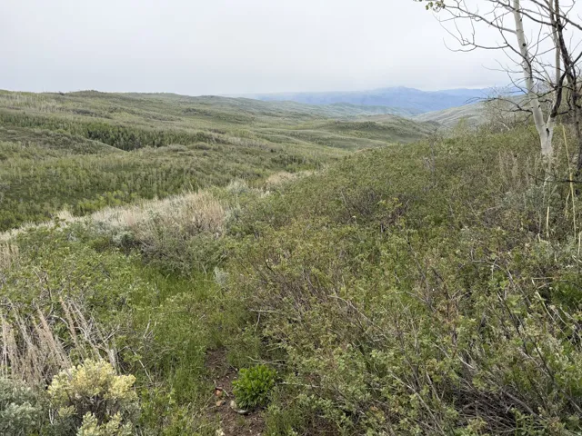Expansive natural landscape featuring rolling hills and distant mountains