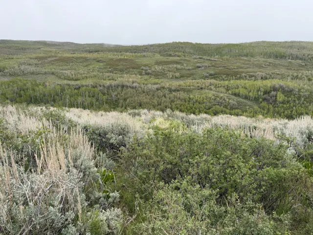 Expansive natural landscape featuring rolling hills and diverse vegetation