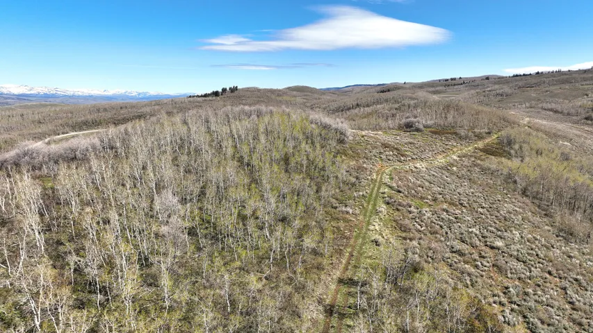 Expansive land offering diverse topography, including a forested area with numerous trees and an open, vegetated expanse