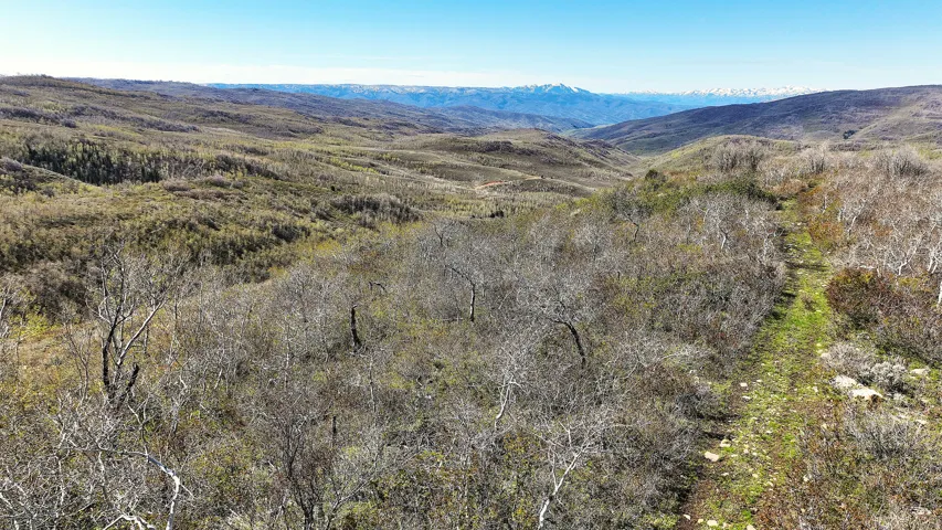 Expansive natural landscape featuring rolling hills, varied vegetation, and a distant mountain range with snow-capped peaks