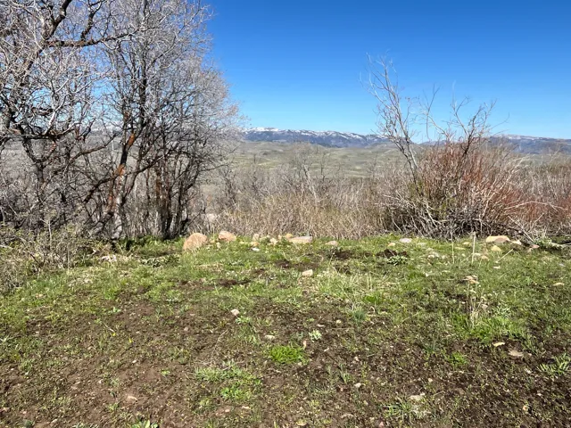 Natural landscape featuring distant snow-capped mountains under a clear blue sky