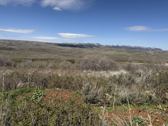 Expansive undeveloped land featuring diverse natural vegetation and a distant mountain range with snow-capped peaks