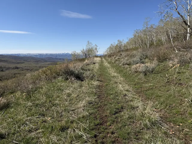 Dirt path traversing a sloped, grassy terrain with distant mountains