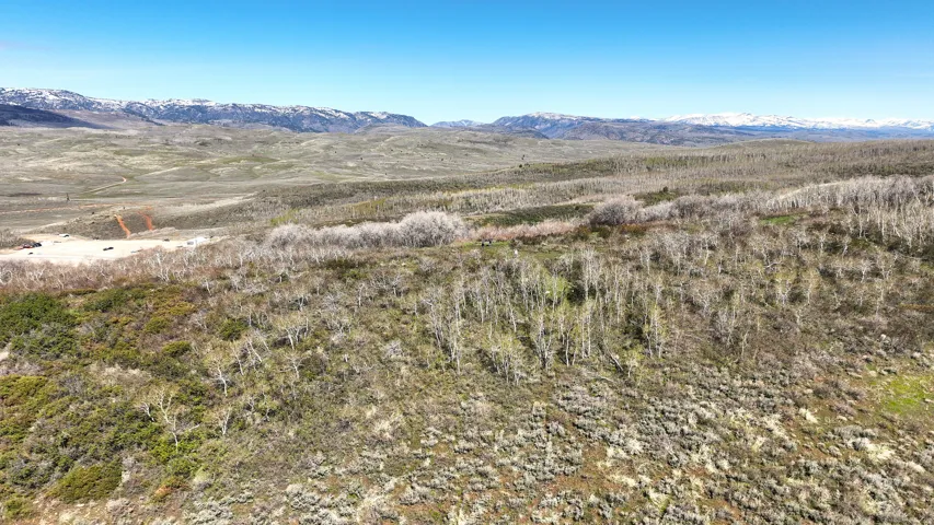 Expansive natural landscape featuring varied terrain, scattered deciduous trees, and distant snow-capped mountains under a clear blue sky
