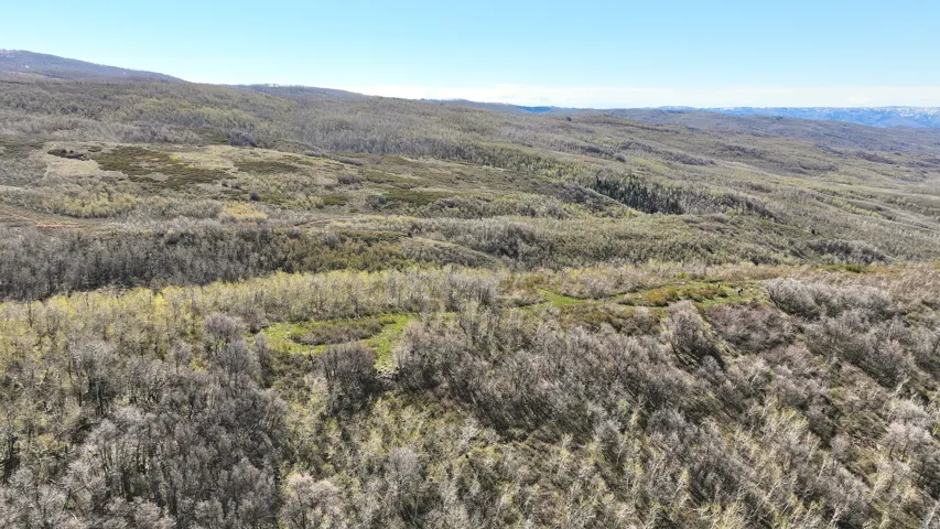 Expansive forested hillsides with varied tree coverage