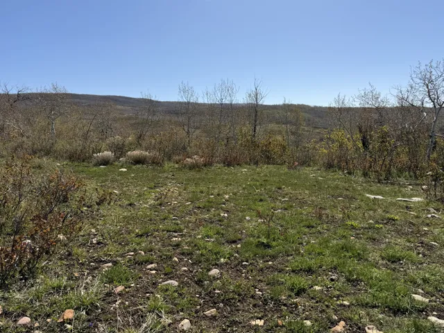 Expansive undeveloped land featuring natural terrain with scattered vegetation and a clear sky horizon