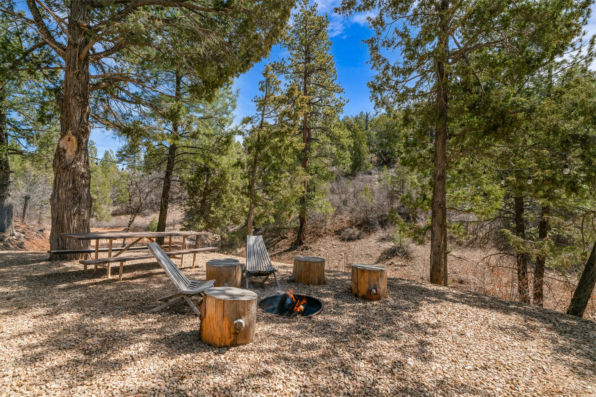 Outdoor gathering area featuring a gravel surface, mature evergreen trees, and a built-in fire pit