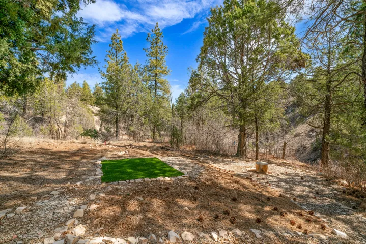 Wooded property featuring a level area with artificial turf, bordered by stone elements