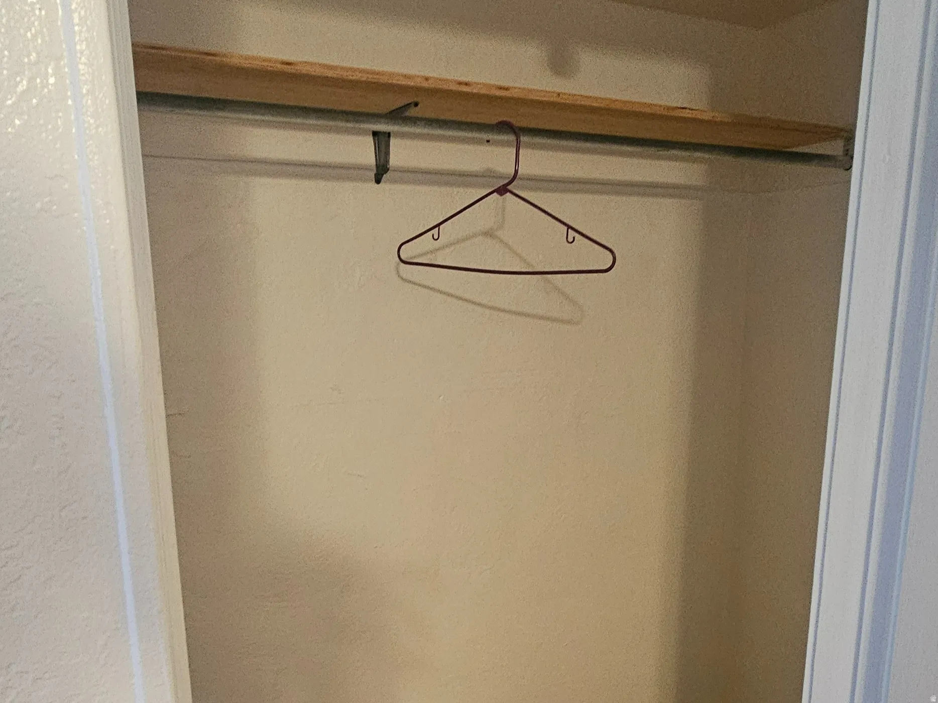 Closet space featuring a built-in hanging rod, overhead shelving, and carpet flooring