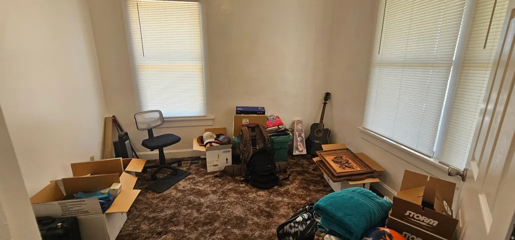 Room featuring two windows with horizontal blinds, light-colored walls, and brown shag carpeting