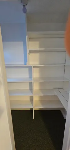 Walk-in storage area featuring multiple white shelving units and dark carpeting