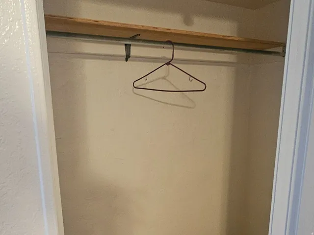 Closet space featuring a built-in hanging rod, overhead shelving, and carpet flooring