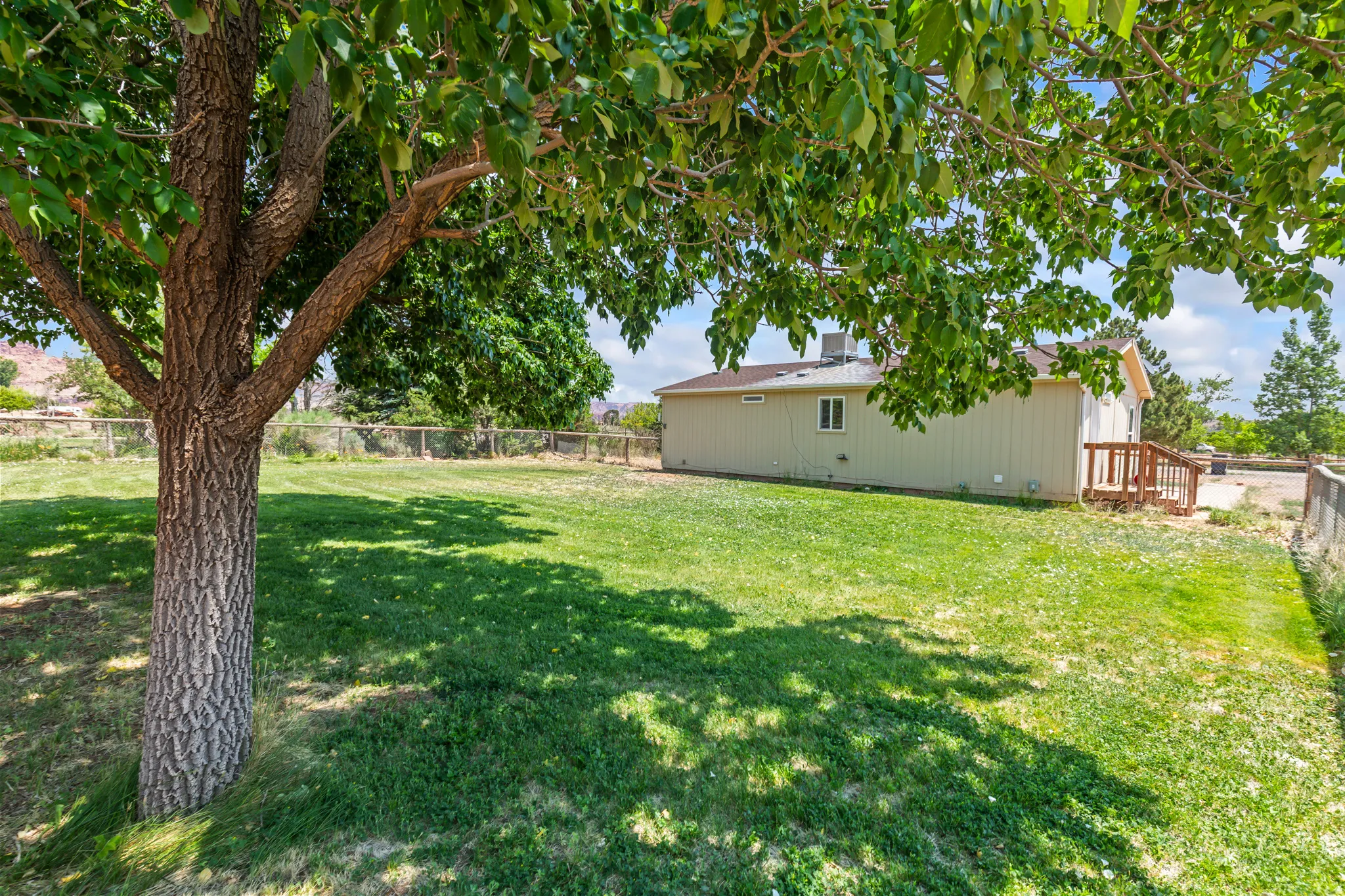 Grassy backyard featuring mature shade tree, chain-link fencing, and a side deck with wooden railings