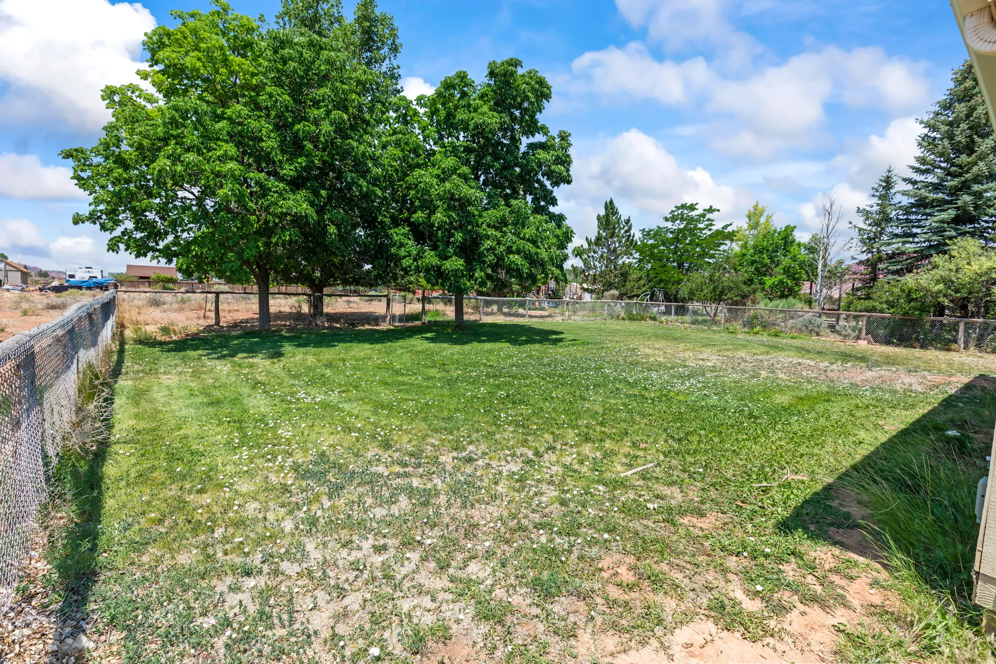 Expansive backyard featuring mature trees, chain-link fencing, and a combination of grassy and natural ground cover