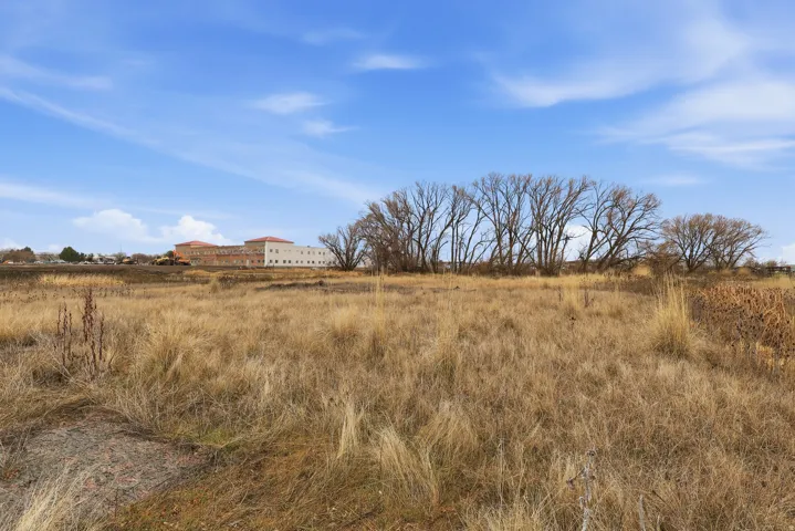 Expansive land parcel featuring natural grasses and mature trees