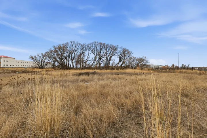 Expansive land parcel featuring natural grasses and mature deciduous trees