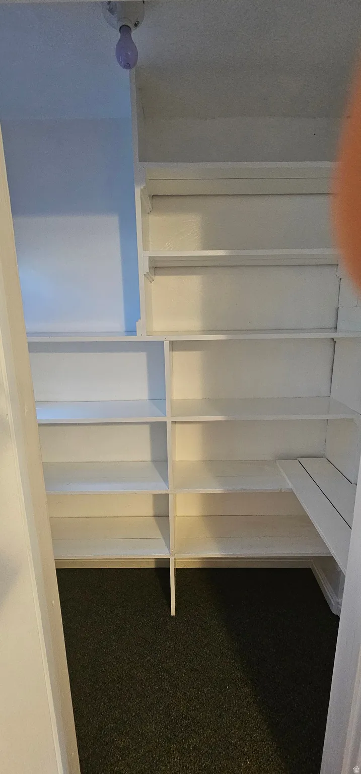 Walk-in storage area featuring multiple white shelving units and dark carpeting