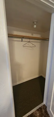Closet space featuring a built-in hanging rod, overhead shelving, and carpet flooring