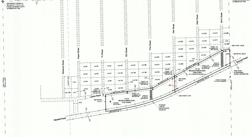 Survey Plat. Illustrating property boundaries, lot divisions, and street layouts