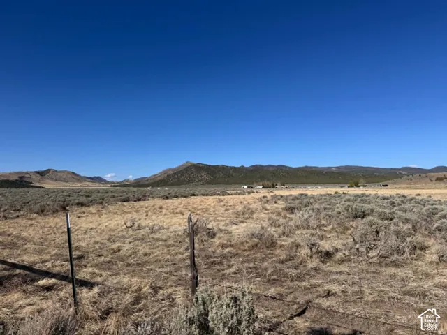 Looking northeast from the west boundary and road access point.