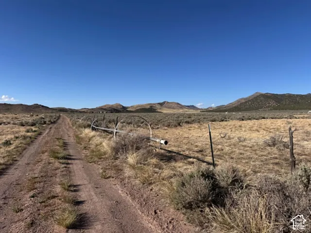 Looking north along access road from the west boundary