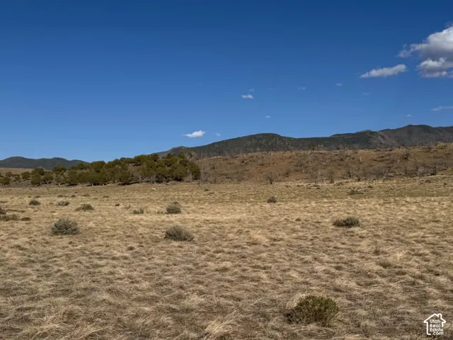 Looking southeast from the west boundary and road access point.