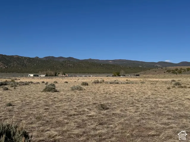 Looking east from the west boundary and road access point.