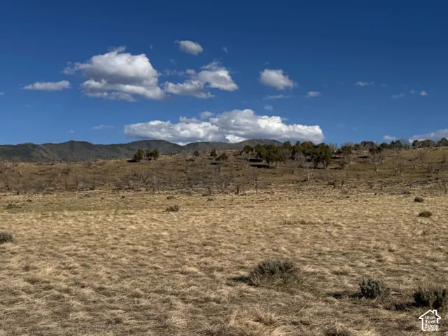 Looking south from the west boundary and road access point.